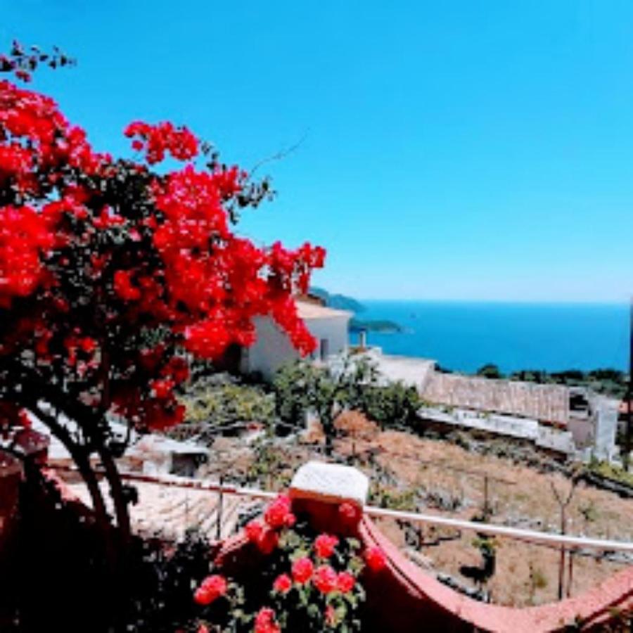 Traditional Panoramic Sea View House Lákones Esterno foto